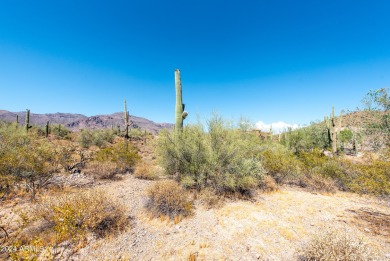 Wow! Build your Dream Home on this Large Vacant Lot on on Gold Canyon Golf Resort  in Arizona - for sale on GolfHomes.com, golf home, golf lot