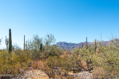 Wow! Build your Dream Home on this Large Vacant Lot on on Gold Canyon Golf Resort  in Arizona - for sale on GolfHomes.com, golf home, golf lot