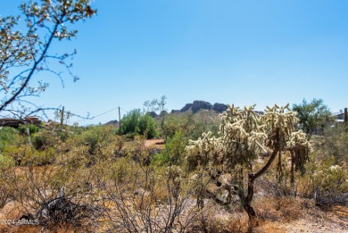 Wow! Build your Dream Home on this Large Vacant Lot on on Gold Canyon Golf Resort  in Arizona - for sale on GolfHomes.com, golf home, golf lot