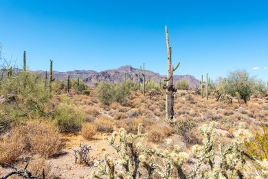 Wow! Build your Dream Home on this Large Vacant Lot on on Gold Canyon Golf Resort  in Arizona - for sale on GolfHomes.com, golf home, golf lot