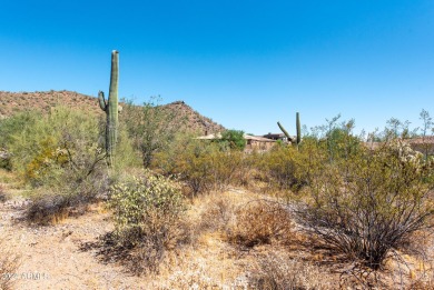 Wow! Build your Dream Home on this Large Vacant Lot on on Gold Canyon Golf Resort  in Arizona - for sale on GolfHomes.com, golf home, golf lot