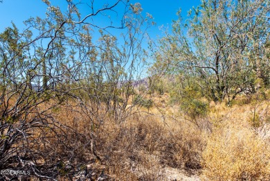 Wow! Build your Dream Home on this Large Vacant Lot on on Gold Canyon Golf Resort  in Arizona - for sale on GolfHomes.com, golf home, golf lot