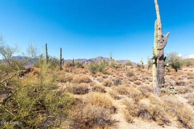 Wow! Build your Dream Home on this Large Vacant Lot on on Gold Canyon Golf Resort  in Arizona - for sale on GolfHomes.com, golf home, golf lot