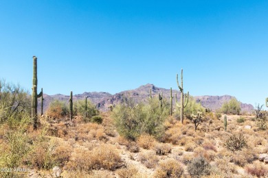 Wow! Build your Dream Home on this Large Vacant Lot on on Gold Canyon Golf Resort  in Arizona - for sale on GolfHomes.com, golf home, golf lot