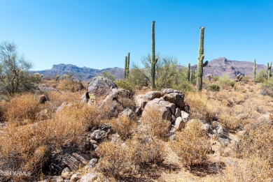 Wow! Build your Dream Home on this Large Vacant Lot on on Gold Canyon Golf Resort  in Arizona - for sale on GolfHomes.com, golf home, golf lot