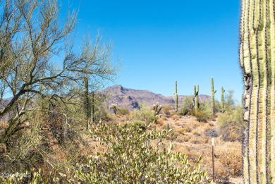 Wow! Build your Dream Home on this Large Vacant Lot on on Gold Canyon Golf Resort  in Arizona - for sale on GolfHomes.com, golf home, golf lot