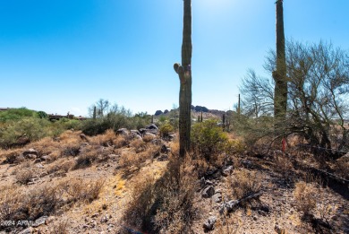 Wow! Build your Dream Home on this Large Vacant Lot on on Gold Canyon Golf Resort  in Arizona - for sale on GolfHomes.com, golf home, golf lot