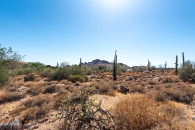 Wow! Build your Dream Home on this Large Vacant Lot on on Gold Canyon Golf Resort  in Arizona - for sale on GolfHomes.com, golf home, golf lot