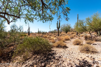 Wow! Build your Dream Home on this Large Vacant Lot on on Gold Canyon Golf Resort  in Arizona - for sale on GolfHomes.com, golf home, golf lot