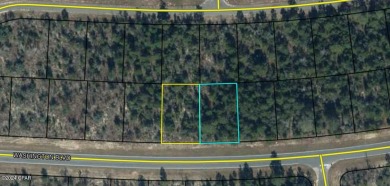 Build Your Dream Home in Sunny Hills!Discover two spacious lots on Sunny Hills Golf and Country Club in Florida - for sale on GolfHomes.com, golf home, golf lot