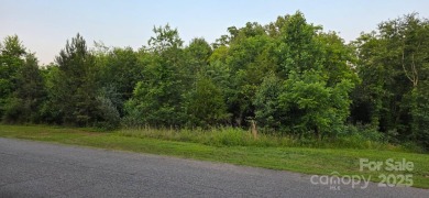 Build your dream home on this spacious .81 acre lot on Lakewood on Lakewood Golf Club in North Carolina - for sale on GolfHomes.com, golf home, golf lot