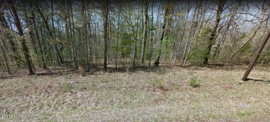 Nice possible buildable lot in the Cree subdivision with Natural on Lake Tansi Village Country Club in Tennessee - for sale on GolfHomes.com, golf home, golf lot