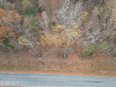 Nice possible buildable lot in the Cree subdivision with Natural on Lake Tansi Village Country Club in Tennessee - for sale on GolfHomes.com, golf home, golf lot