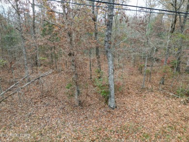 Nice possible buildable lot in the Cree subdivision with Natural on Lake Tansi Village Country Club in Tennessee - for sale on GolfHomes.com, golf home, golf lot