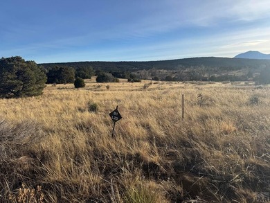 A special collected 4 lot parcel with a combined 2.4 acres, in on Walsenburg Golf Club in Colorado - for sale on GolfHomes.com, golf home, golf lot