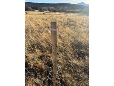 A special collected 4 lot parcel with a combined 2.4 acres, in on Walsenburg Golf Club in Colorado - for sale on GolfHomes.com, golf home, golf lot