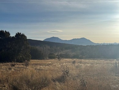 A special collected 4 lot parcel with a combined 2.4 acres, in on Walsenburg Golf Club in Colorado - for sale on GolfHomes.com, golf home, golf lot