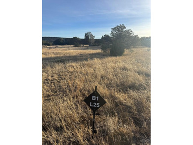 A special collected 4 lot parcel with a combined 2.4 acres, in on Walsenburg Golf Club in Colorado - for sale on GolfHomes.com, golf home, golf lot