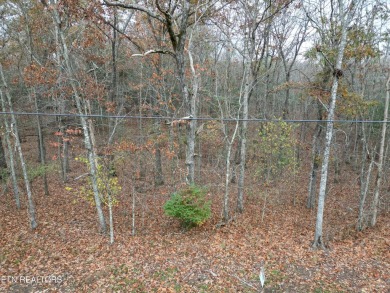 Nice possible buildable lot in the Ottawa subdivision with on Lake Tansi Village Country Club in Tennessee - for sale on GolfHomes.com, golf home, golf lot