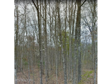 Nice possible buildable lot in the Cree subdivision with Natural on Lake Tansi Village Country Club in Tennessee - for sale on GolfHomes.com, golf home, golf lot