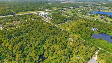 Your vision. Your luxury. Your legacy. Nestled in one of North on The Club At Twin Eagles in Florida - for sale on GolfHomes.com, golf home, golf lot