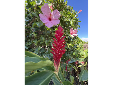 ACCEPTING BACKUP OFFERS. Don't miss this comfortable on Waikoloa Village Golf Club in Hawaii - for sale on GolfHomes.com, golf home, golf lot