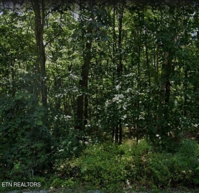 318 Snead Drive on Druid Hills Golf Club in Tennessee - for sale on GolfHomes.com, golf home, golf lot