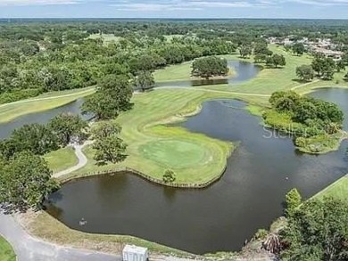 Welcome to your dream home in the highly sought-after on Bloomingdale Golfers Club in Florida - for sale on GolfHomes.com, golf home, golf lot