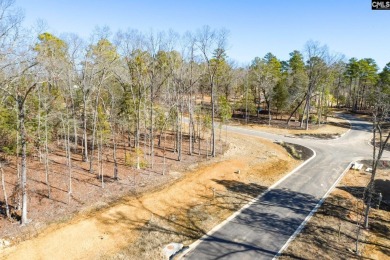 Discover the allure of White Water Landing, Lake Murray's newest on Timberlake Country Club in South Carolina - for sale on GolfHomes.com, golf home, golf lot