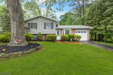 Beautifully maintained 3BR split-level backing to a golf course! on High Bridge Hills Golf Club in New Jersey - for sale on GolfHomes.com, golf home, golf lot
