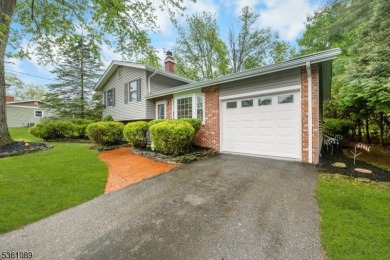 Beautifully maintained 3BR split-level backing to a golf course! on High Bridge Hills Golf Club in New Jersey - for sale on GolfHomes.com, golf home, golf lot