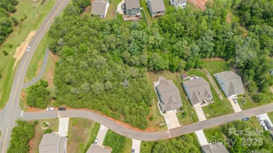 Build your dream home on this exceptional 0.32-acre high-and-dry on Edgewater Golf Club in South Carolina - for sale on GolfHomes.com, golf home, golf lot