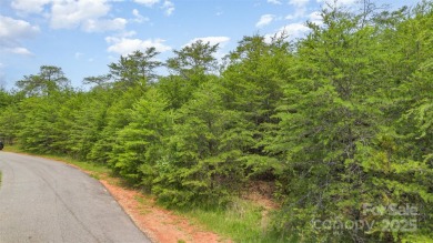 Build your dream home on this exceptional 0.32-acre high-and-dry on Edgewater Golf Club in South Carolina - for sale on GolfHomes.com, golf home, golf lot