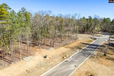 Discover the allure of White Water Landing, Lake Murray's newest on Timberlake Country Club in South Carolina - for sale on GolfHomes.com, golf home, golf lot