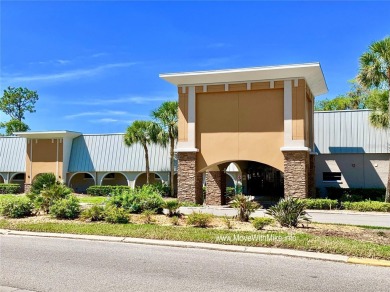 Make this BEAUTIFULLY FURNISHED well-kept 2-bedroom 2-bath in on Summertree Golf Course in Florida - for sale on GolfHomes.com, golf home, golf lot
