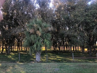 Lot #158 - 2 Bed / 2 Bath / 864 Sq. Ft. / $55,000 -- 2008 on Cypresswood Golf and Country Club in Florida - for sale on GolfHomes.com, golf home, golf lot