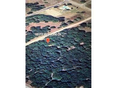 HEAVILY WOODED LOT IN BEAUTIFUL WHITE BLUFF RESORT. THIS LOT IS on White Bluff Resort - Old Course in Texas - for sale on GolfHomes.com, golf home, golf lot
