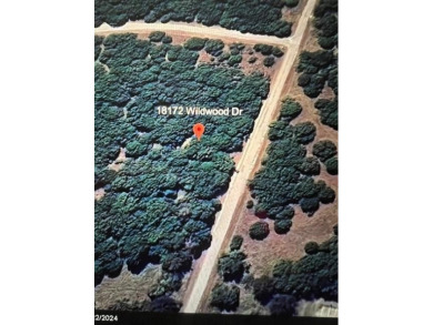 HEAVILY WOODED LOT IN BEAUTIFUL WHITE BLUFF RESORT. THIS LOT IS on White Bluff Resort - Old Course in Texas - for sale on GolfHomes.com, golf home, golf lot