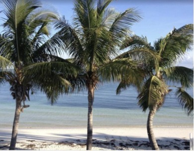 This Key Colony Beach coastal retreat blends modern elegance on Key Colony Beach Golf Course in Florida - for sale on GolfHomes.com, golf home, golf lot
