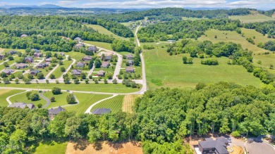 Take a look at this ready to build lot in the pristine on Ridges Golf and Country Club in Tennessee - for sale on GolfHomes.com, golf home, golf lot