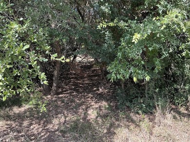 This is the one you are looking for...corner lot within easy on White Bluff Resort - New Course in Texas - for sale on GolfHomes.com, golf home, golf lot