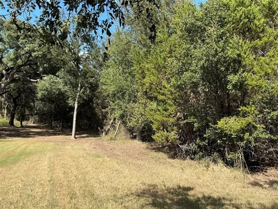 This is the one you are looking for...corner lot within easy on White Bluff Resort - New Course in Texas - for sale on GolfHomes.com, golf home, golf lot