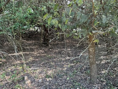 This is the one you are looking for...corner lot within easy on White Bluff Resort - New Course in Texas - for sale on GolfHomes.com, golf home, golf lot