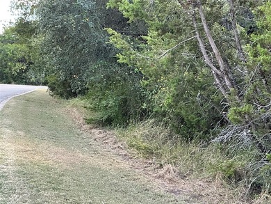 This is the one you are looking for...corner lot within easy on White Bluff Resort - New Course in Texas - for sale on GolfHomes.com, golf home, golf lot