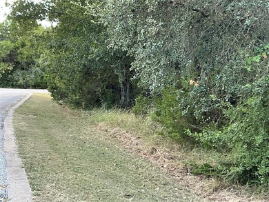 This is the one you are looking for...corner lot within easy on White Bluff Resort - New Course in Texas - for sale on GolfHomes.com, golf home, golf lot