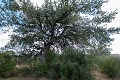 Mobile Home corner Lot with Oak trees in Horseshoe Bay. Lot is 0 on Slick Rock Golf Course - Horseshoe Bay in Texas - for sale on GolfHomes.com, golf home, golf lot