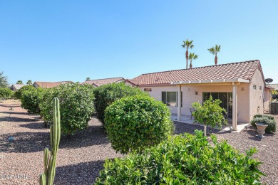 LOOK AT THE UPGRADES!!! This beautiful home has a rock ledge on Desert Springs Golf Course in Arizona - for sale on GolfHomes.com, golf home, golf lot