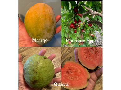 Beautifully redesigned for modern island living and effortless on Waikoloa Village Golf Club in Hawaii - for sale on GolfHomes.com, golf home, golf lot