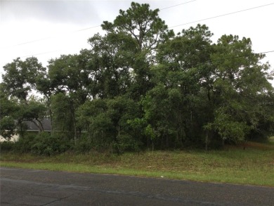 Nestled in the highly desirable deed restricted Community of on Citrus Springs Country Club in Florida - for sale on GolfHomes.com, golf home, golf lot