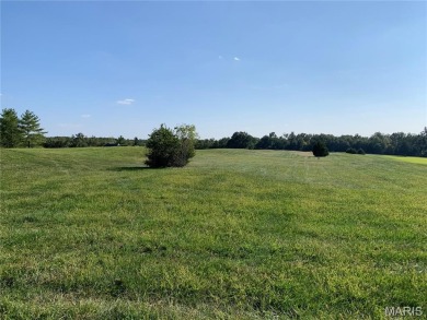 Beautiful lot with great sunset views overlooking a spectacular on Innsbrook Resort Golf Course in Missouri - for sale on GolfHomes.com, golf home, golf lot